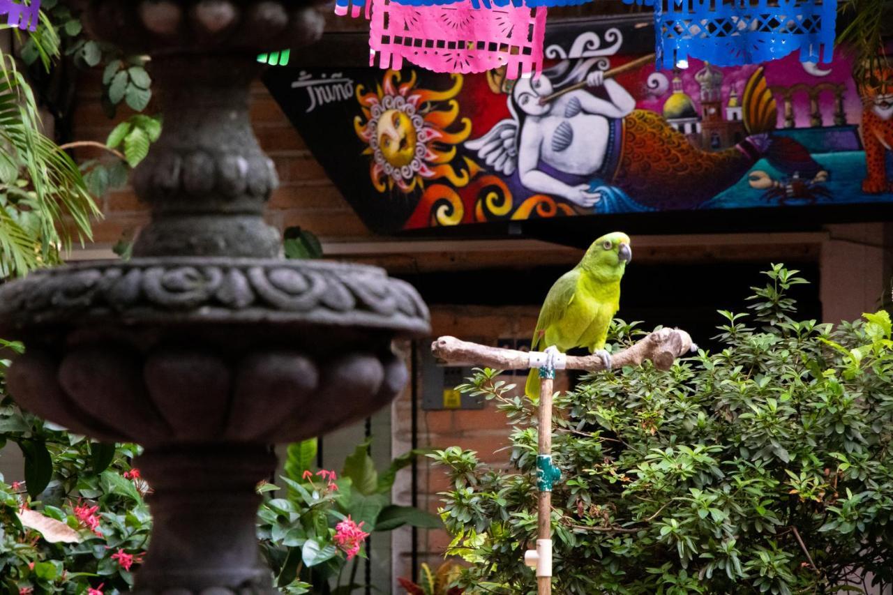 Hotel Posada De Roger Puerto Vallarta Eksteriør billede